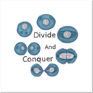 Cell Mitosis Divide and Conquer Posters and Art